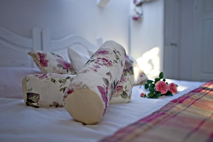 Modra Sikorka Villa Smardzewice Rum bild