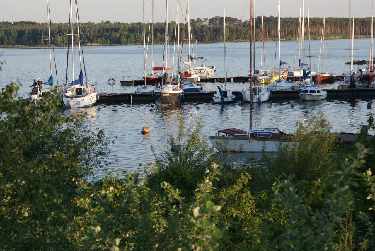 Modra Sikorka Villa Smardzewice Rum bild